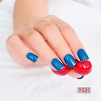 Load image into Gallery viewer, Candy Color False Nails - Proxy Nail Polish